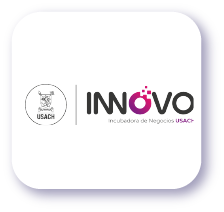 Nuestros Aliados Estratégicos_INNOVO Incubadora de Negocios USACH